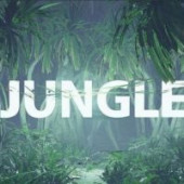 Jungle courses